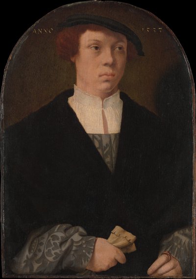 Portrait of a Man, 1533 by Bartholomaeus Bruyn the Elder