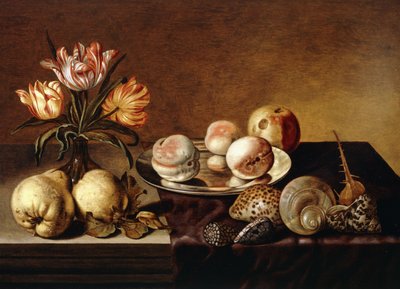 A Silver Plate of Peaches, a Vase of Parrot Tulips, Pears and Shells on a Partly Draped Table by Bartholomeus Assteyn