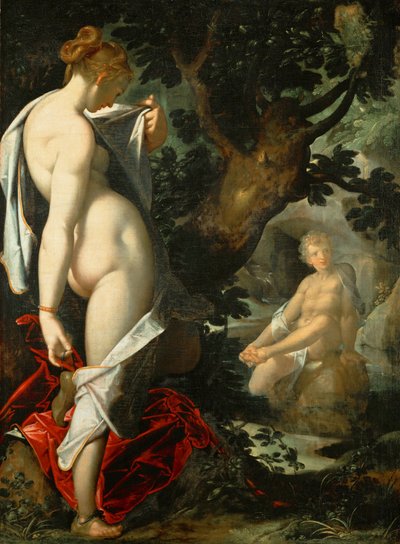 Hermaphroditus and the Nymph Salmacis by Bartholomeus Spranger