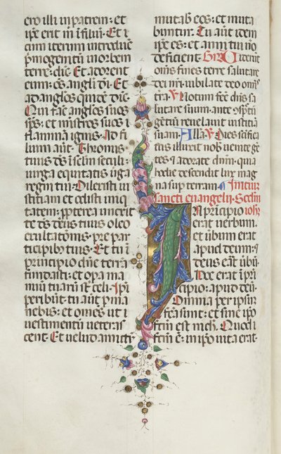 Missale: Fol. 22v: Foliage with Fish by Bartolomeo Caporali