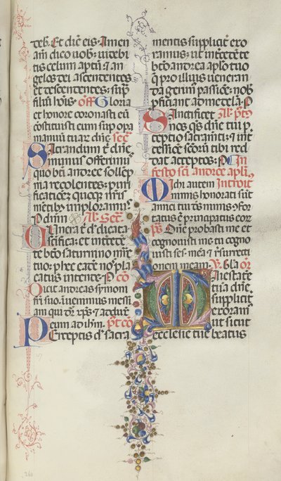 Missale: Fol. 260: Foliage with Fruit by Bartolomeo Caporali