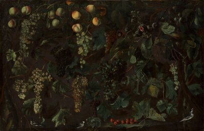 Grape Vines and Fruit, with Three Wagtails by Bartolomeo Cavarozzi