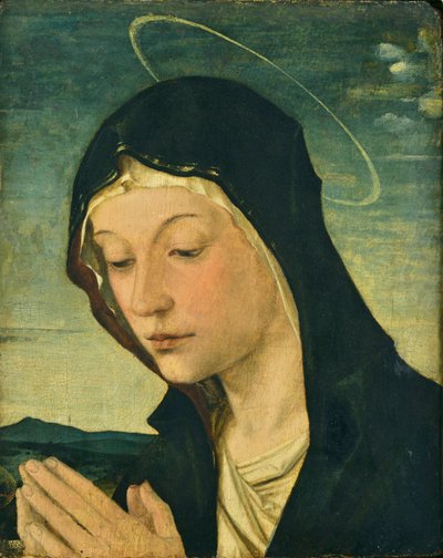 Head and Hands of an Adoring Madonna (Fragment) by Bartolomeo Montagna