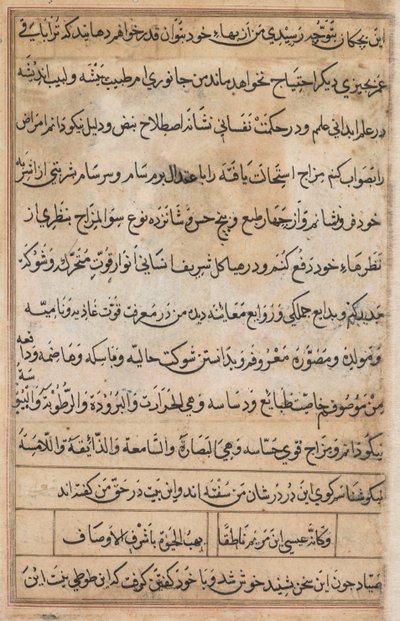 Page from Tales of a Parrot Tuti-nama: text page by Basavana