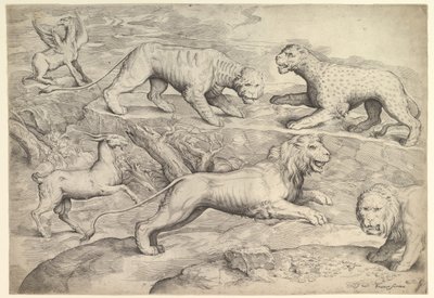 Six Animals, including lions, a tiger, a leopard, a griffin, and a goat, ca. 1530-61 by Battista Franco Veneziano