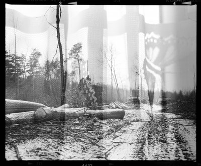 Forest Butterfly Overlay by Beata Brząkalik-Gburek