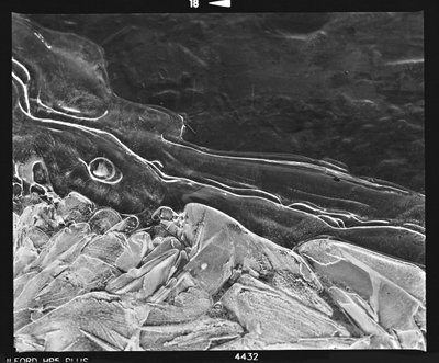 Icy Crystal Flow by Beata Brząkalik-Gburek