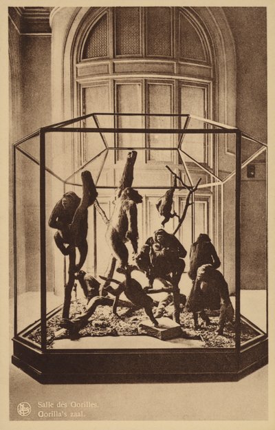 Gorilla Room by Belgian Photographer