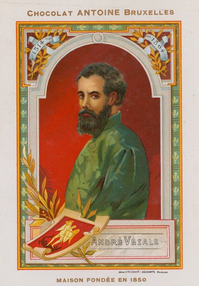 Andres Vesalius by Belgian School