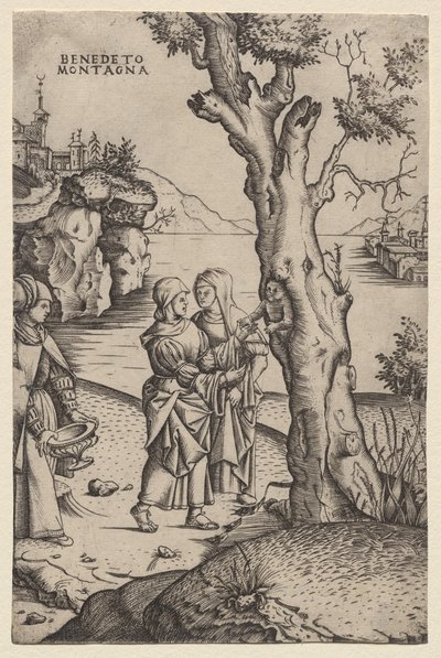 Birth of Adonis (from the series: The Metamorphoses) by Benedetto Montagna