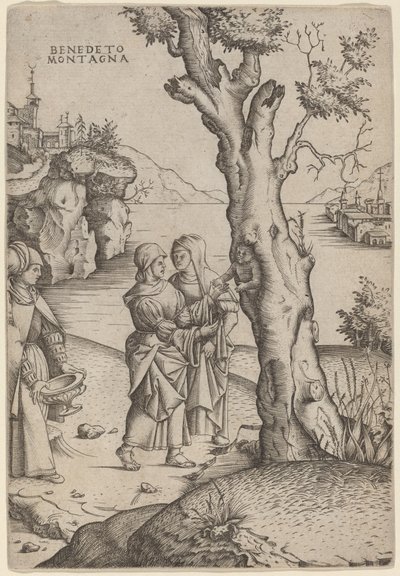 Birth of Adonis by Benedetto Montagna