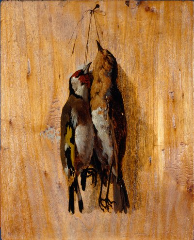 Study of Two Dead Birds Pinned on the Wall by Benedetto Musso