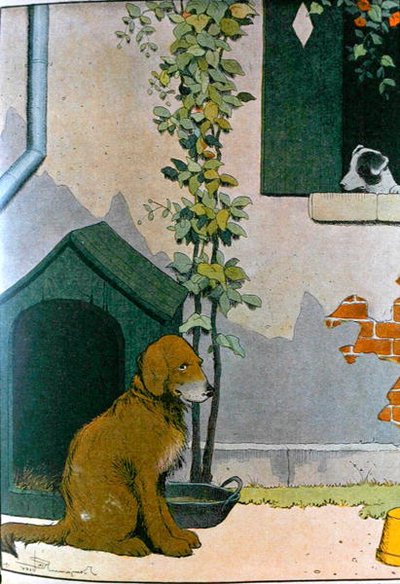 Dog, Illustration from 