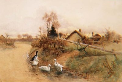 Dabbling Ducks by Benjamin D. Sigmund