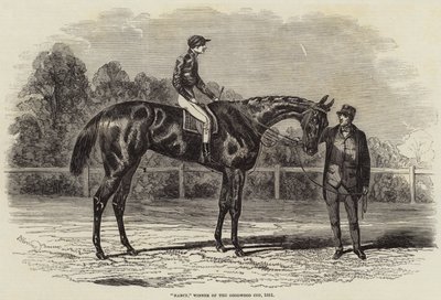 Nancy, Winner of the Goodwood Cup, 1851 by Benjamin Herring