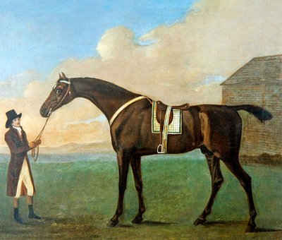 A Groom Holding the Reins of a Racehorse 