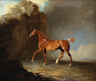A Golden Chestnut Racehorse by a Rock Formation by Benjamin Marshall
