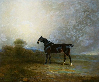 Bembo, a Favourite Hunter of Charles Shuttleworth, Esq., 1802 by Benjamin Marshall