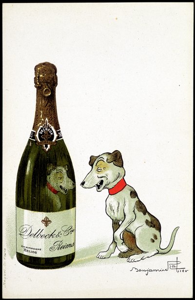 Cardboard for Champagne 