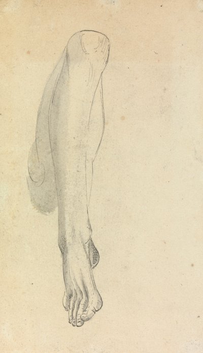 Anatomical Study of a Leg by Benjamin Robert Haydon
