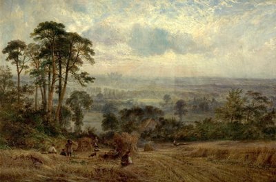 Cornfields, Wollaton Hall, Nottingham by Benjamin Shipman