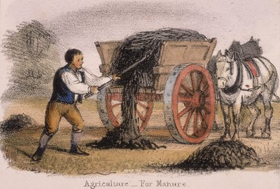 Agriculture, for Manure, c1845 by Benjamin Waterhouse Hawkins