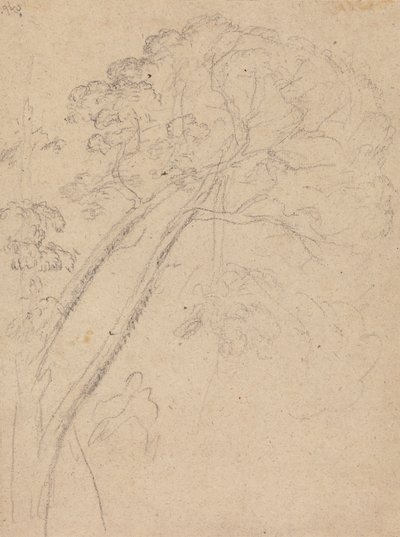 Costume Study for the Portrait of a Lady by Benjamin West