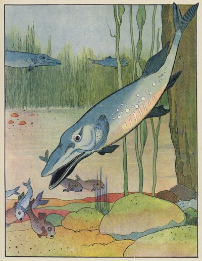 Fish by Benjamin Rabier