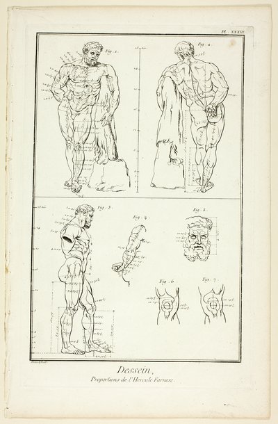 Design: Proportions of the Farnese Hercules, from Encyclopédie by Benoit Louis Prevost