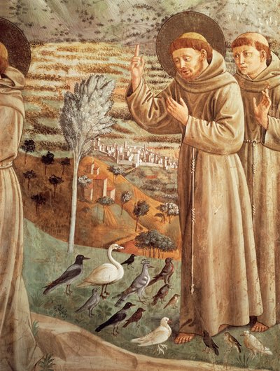 Stories from life of St Francis, preaching to birds by Benozzo di Lese di Sandro Gozzoli