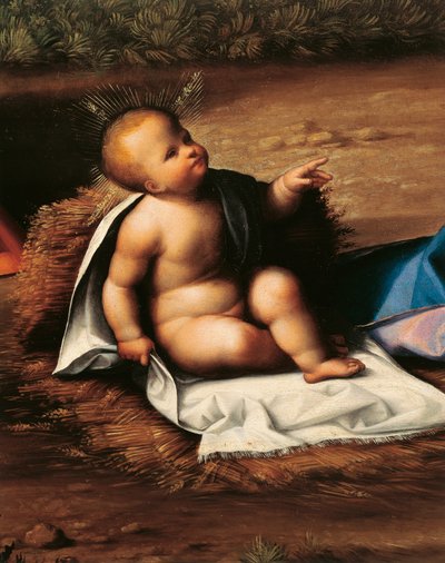 Baby Jesus (detail) by Benvenuto Tisi da Garofalo