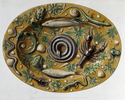 Passin à reptiles - Ceramic plate, in 
