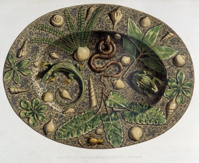 Plate with Reptiles - Ceramic Plate, in 