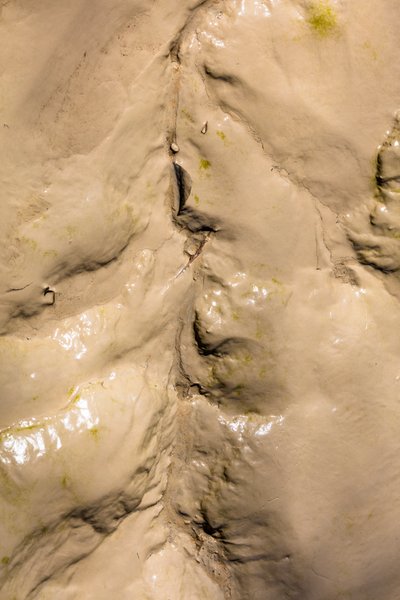Gironde Estuary, Mud on a Bank at Low Tide by Bernard Bonnefon