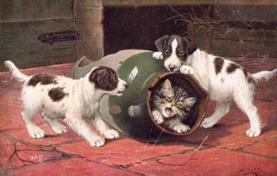 Cat Postcard by Bernard Cobbe