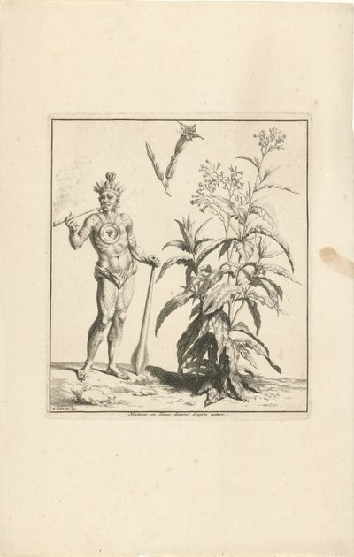 Tobacco Plant and Native American by Bernard Picart (workshop of)