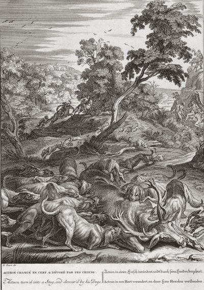 Acteon turned into a Stag, and devoured by his dogs by Bernard Picart