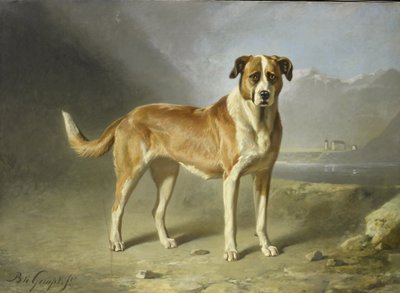 A St Bernard Dog by Bernard te Gempt