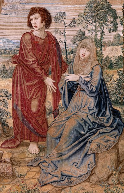 Flemish tapestry. Series Dais of Charles V. Christ of Mercy. Tapestry panel behind the dais. Model Bernard van Orley. Manufacture Pieter de Pannemaker, Brussels. 1518-1524. by Bernard van Orley