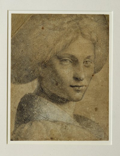 Portrait of a Woman Wearing a Turban, Three-Quarter View to the Right by Bernardino (attr. to) Luini