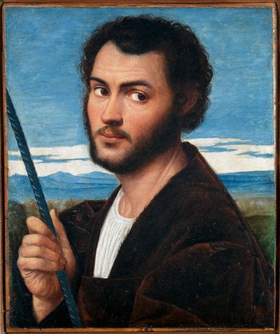 Portrait of a Man by Bernardino Licinio (ca. 1489-ca. 1565) by Bernardino Licinio