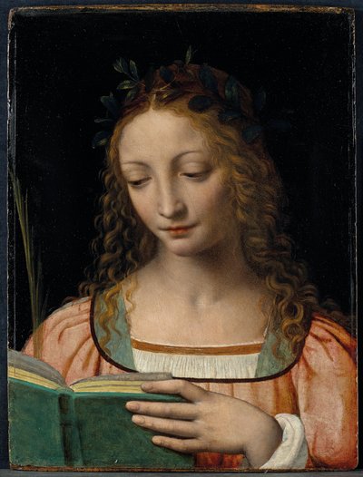 Bust Length Figure of Saint, with a Palm and Reading the Scriptures by Bernardino Luini