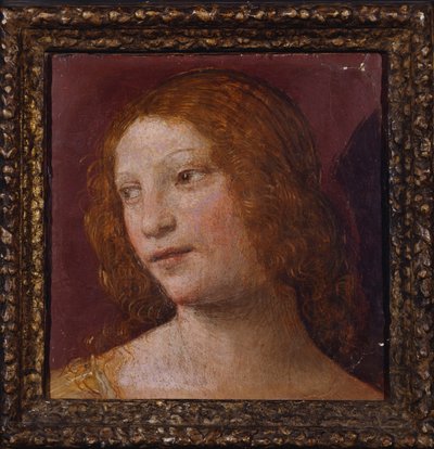 The Head of an Angel (a fragment) by Bernardino Luini