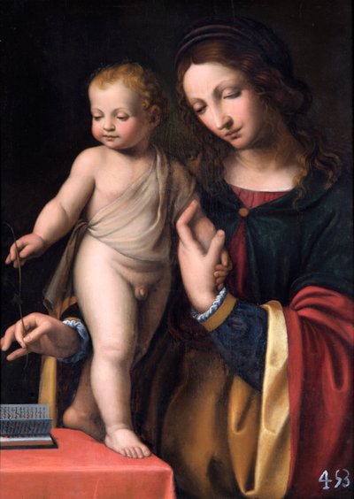 The Virgin with the Standing Child by Bernardino Luini