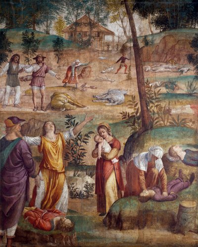 The death of the firstborn, fresco transferred on wood by Bernardino Luini