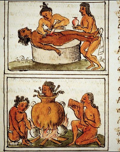 Human sacrifice and cannibalism of the Aztecs. Manuscript by Bernardino Sahagun by Bernardino de Sahagun