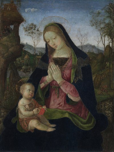 Virgin and Child, c.1490-1500 by Bernardino di Betto Pinturicchio