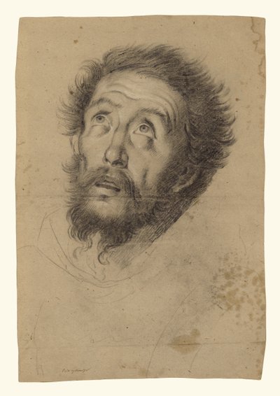 Head of Saint Francis (front); Studies of the Head of Saint Francis, Head of an Old Man, and Two Right Hands (back) by Bernardo Strozzi