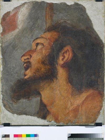 Head of St. John the Baptist (Fragment of Detached Fresco) by Bernardo Strozzi