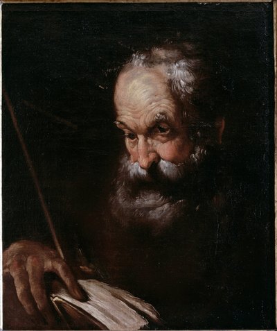 Portrait of Old Man with a Book by Bernardo Strozzi